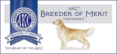 AKC Breeder of Merit