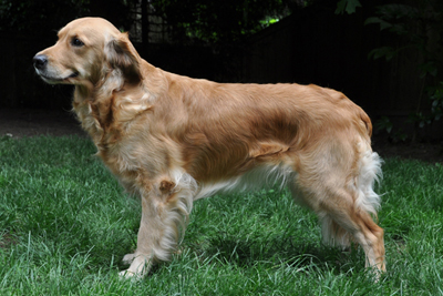 Trixy 2 years old