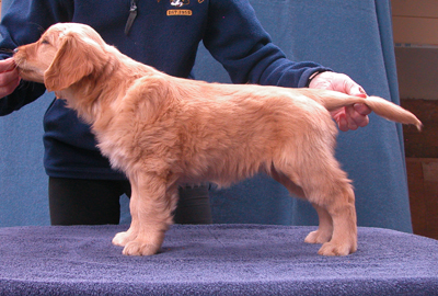Trixy 2 months