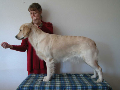 Tuppence 2 years old